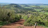 Trail Walking Saint-Genès-Champanelle - 2025-05-02-Reco-Le puy de la vache - Photo 10