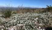 Excursión Ruta Cheval-Blanc - Petrossi-Pradon-Sapine-Colombier(26K 840D+) - Photo 2