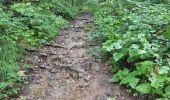 Tocht Stappen Wattwiller - 04-08-23 tour Vosges J4 : Hirtzenstein - Grand Ballon - Photo 1