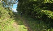 Trail Walking Unknown - Lavardin - Chemin de la roue des Carriers - Photo 17