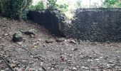 Excursión Senderismo Le Lorrain - La Crabiere Anse rivière Rouge - Photo 10