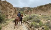 Trail Horseback riding Bardenas Reales de Navarra - Bardenas jour 6 - Photo 20