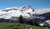 Trail Walking Arâches-la-Frasse - Les Carroz l'Arbaron en boucle - Photo 20