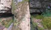 Tour Wandern Villers-le-Lac - Le Pisoux - Photo 16