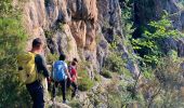 Tour Wandern Quenza - Col de Bavella-Conca Étape GR - Photo 13