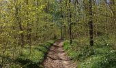 Trail Walking Florennes - Morialmé - Photo 4