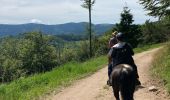 Trail Horseback riding Bertrimoutier - Restaurant belle vue col de sainte marie Tivio  - Photo 7