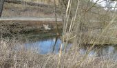 Tour Zu Fuß Pommelsbrunn - Hunas-Rundweg um Pommelsbrunn - Photo 10