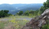 Tour Wandern Cogolin - les hauts de Cavalaire - Photo 2