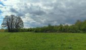 Tour Wandern Riemst - autour de Kanne et St Pietersberg  - Photo 20