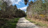 Tour Wandern Continvoir - Continvoir - GRP Coteaux de Bourgueil - Gizeux - 28.5km 345m 6h20 (1h) - 2025 04 17 - Photo 9