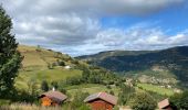 Tocht Elektrische fiets Wildenstein - La Bresse - Photo 4