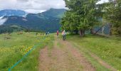 Randonnée Marche Les Gets - morzine col du mont chery - Photo 5