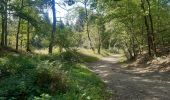 Trail Walking Jalhay - adeps sart 20 km bug - Photo 18