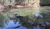 Randonnée Marche Seignosse - Belleherbe en boucle depuis le Pénon - Photo 2