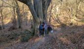 Trail Walking Senlisse - 230227 vaux cernay - Photo 15