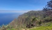 Randonnée Marche Prazeres - Paul do Mar - Levada nova - Photo 11