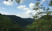 Excursión A pie okres Spišská Nová Ves - Náučný chodník Prielom Hornádu - Photo 8