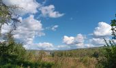 Trail Walking Comblain-au-Pont - ambleve . pic de Napoléon . roches noires . ourthe  - Photo 18