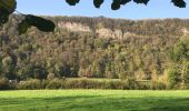 Trail Walking Esneux - Boucle de l’Ourthe  - Photo 1