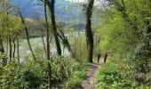 Trail Walking Motz - MOTZ SERRIERES: BORDS DU RHONE - Photo 2