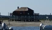 Randonnée Bateau à moteur Arcachon - Tour de l'île aux Oiseaux - Photo 4