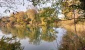 Excursión Senderismo Châteauneuf-du-Rhône - Châteauneuf-du-Rhône Les Iles 6km - Photo 6