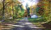 Excursión Senderismo Saou - Tour de la Forêt de Saoû - Photo 10