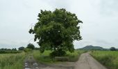 Excursión A pie Soumagne - La balade des Deux Fontaines - Photo 10