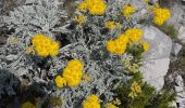 Tocht Stappen Marseille - PF-Les calanques - Le Mont Puget - Photo 7