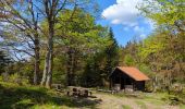 Percorso Marcia Le Hohwald - Hohwald - Rothlach - Neuntelstein - Photo 3