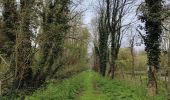 Trail Walking Arsac - Arsac : randonnée entre vignes et sous bois  - Photo 6