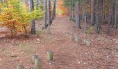 Trail Walking Aurel - Couleurs d'automne au Ventouret - Photo 3