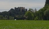 Tour Wandern Montfaucon - Monfaucon - Photo 19