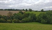 Tour Zu Fuß Wyre Forest - Habberley Valley Circular Walk - Photo 3