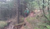 Trail Mountain bike Raon-l'Étape - VTT La Trouche- Neufmaisons 03/11/19 - Photo 1