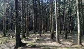 Trail Walking Aywaille - ninglinspo . chefna . fond de quareux  - Photo 15