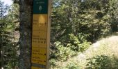 Percorso Marcia Autrans-Méaudre en Vercors - Autrans - Gève - Bec de l'Orient - La Buffe - Photo 11