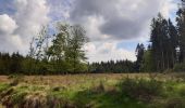 Trail Walking Spa - spa gué des artistes. malchamps . ligne 44 . niveze - Photo 5