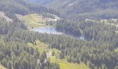 Randonnée Marche Seyne - SEYNES,  parking du col col Bas  , piste militaire.  Dormiouse,  lac du Milieu  , lac Noir , lac Gué,  col Bas o l - Photo 7