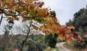 Trail Walking Roussas - Roussas 8km - Photo 6