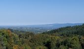 Trail Walking Ceilloux - Ceilloux 091022 - Photo 10