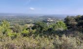 Trail Walking Crillon-le-Brave - Torrent Pied Blanc / Rocher de la Madeleine - Photo 3