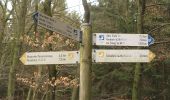 Trail On foot Windeck - Rundweg Balken Altwindeck - Photo 5