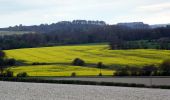 Tour Zu Fuß North Hertfordshire - Walk on the wild side - Photo 1