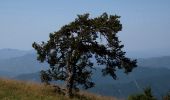 Tocht Stappen Marignac-en-Diois - Marignac - But de l'Aiglette - Col de Vassieux - Photo 3