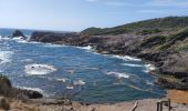 Randonnée Marche La Trinité - Presqu'île de la caravelle  - Photo 6