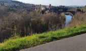 Tocht Mountainbike Brioude - promenade avec canette - Photo 1