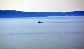 Tour Wandern Rayol-Canadel-sur-Mer - Wikiloc - Le rayon canadel - Opidum de monjean - Photo 18