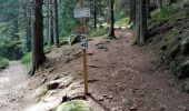 Trail Walking Orbey - Circuit des 2 lacs - Photo 8